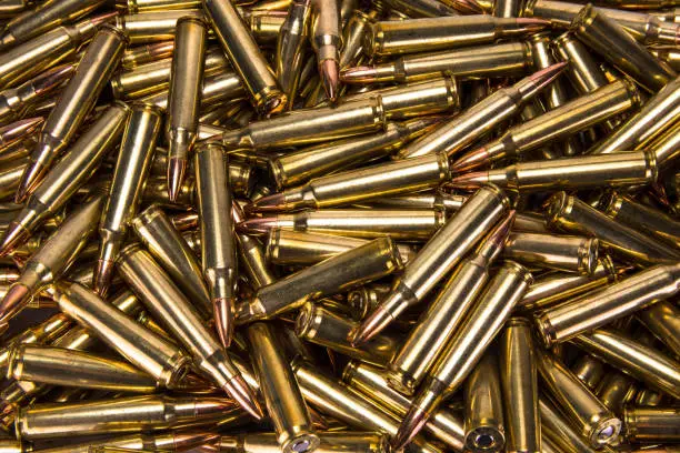 Lots of .223 ammunition
