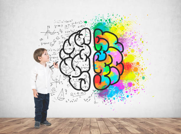 istock Cute little boy with a marker, brain 954711598