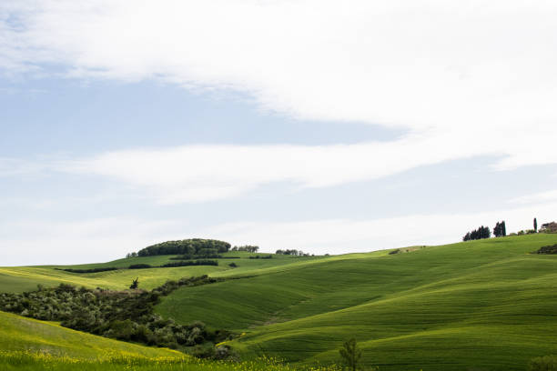 istock Tuscany landscape with green fields in spring, holidays in Italy 954712988