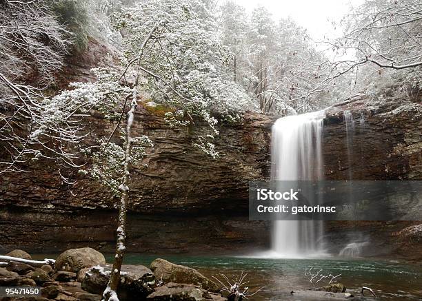 Autunno In Inverno - Fotografie stock e altre immagini di Fiume - Fiume, Georgia - Stati Uniti Meridionali, Acqua