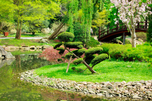 istock Beautiful japanese garden and pond 954718142
