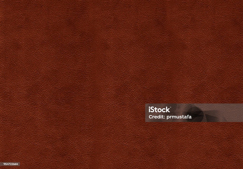 Snakeskin Leather Leather Stock Photo