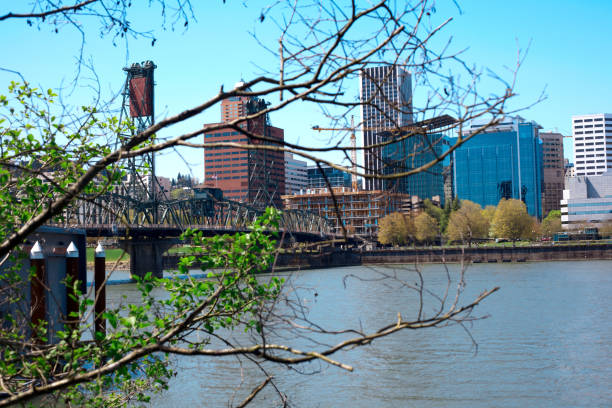 Portland Oregon Waterfront with Hawthorne Bridge and Tree Branches stock photo