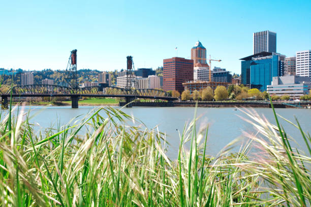 Portland Oregon Waterfront with Hawthorne Bridge and Grass in Foreground stock photo