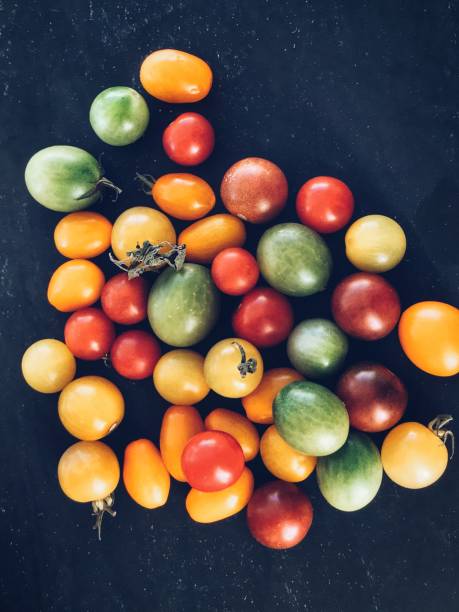 멀티 컬러 보 포도 토마토 - heirloom tomato organic tomato green tomato 뉴스 사진 이미지