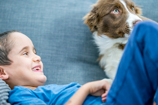 A boy is lying on the couch and laughing. There is a beautiful, small dog next to him that has a guilty look on it's face, looking upward.