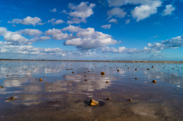 bajamar en la playa de winchelsea - winchelsea fotografías e imágenes de stock