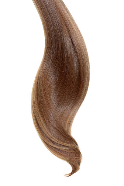 istock Natural hair on a white background 954773656