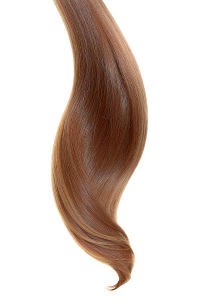 istock Natural hair on a white background 954773664