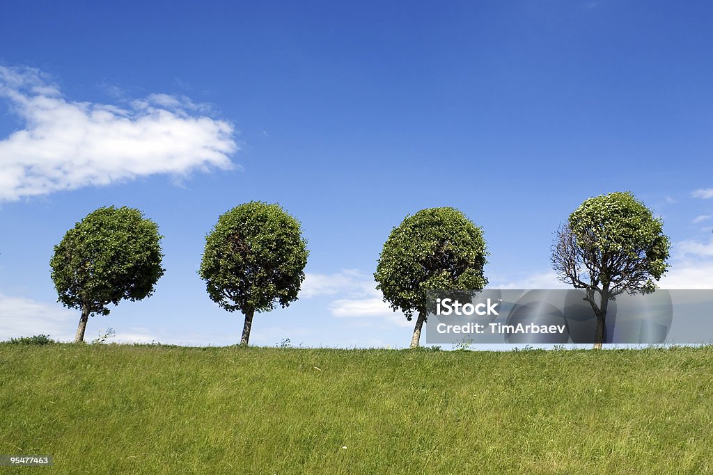 Cuatro de árboles - Foto de stock de Aire libre libre de derechos