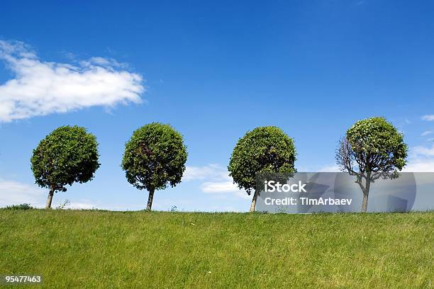 Cuatro De Árboles Foto de stock y más banco de imágenes de Aire libre - Aire libre, Armonía - Concepto, Azul