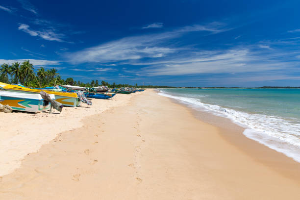 istock beach and tropical sea 954777118