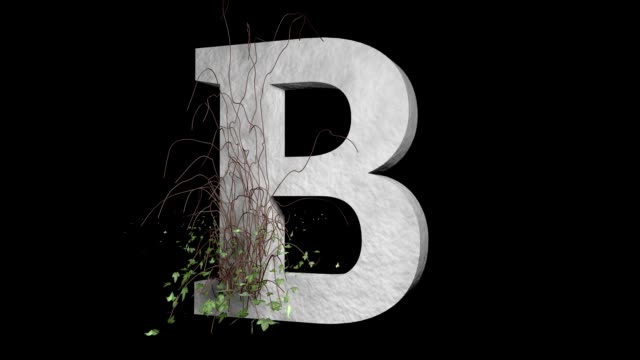 Type Letter B. Ivy Growing Stone Alphabet