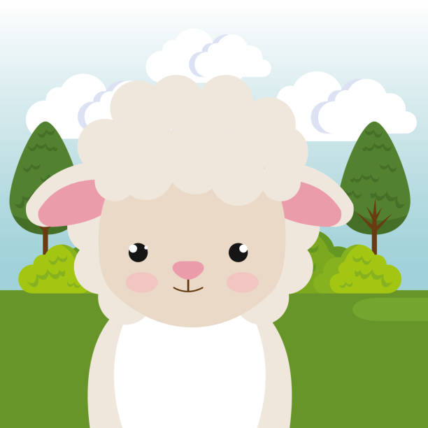 Cute Sheep In The Field Landscape Character Stock Illustration - Download  Image Now - Agricultural Field, Animal, Animal Wildlife - iStock