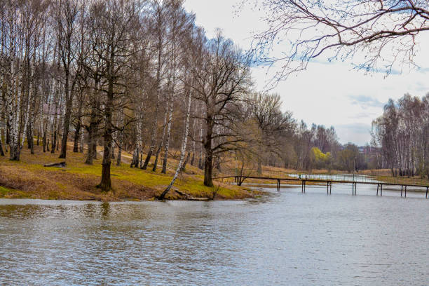 istock Beautiful autumn landscape, trees without leaves. Cold water. Sad landscape 954787964