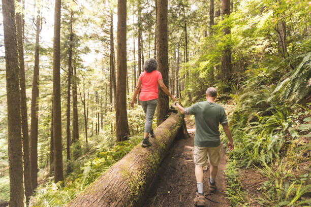 istock Senior Couple on a Day Hike in Forest 954792120