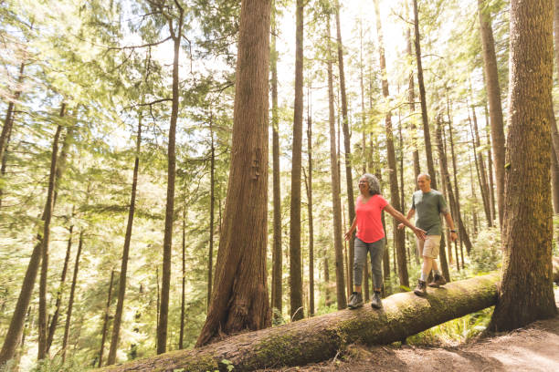 istock Senior Couple on a Day Hike in Forest 954792134