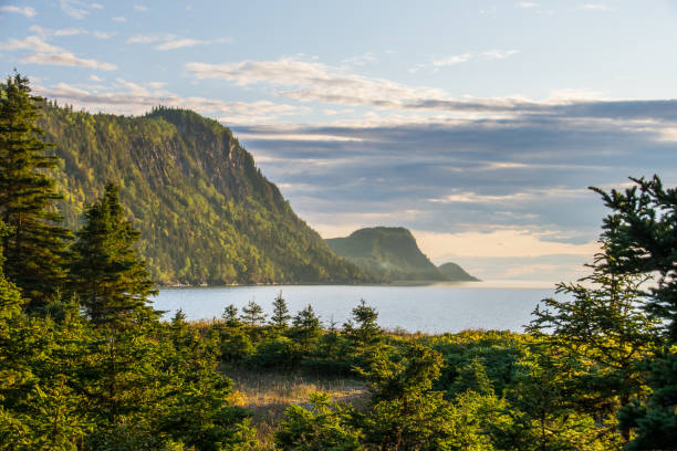 québec utsikt från bic nationalpark - provinsen québec bildbanksfoton och bilder