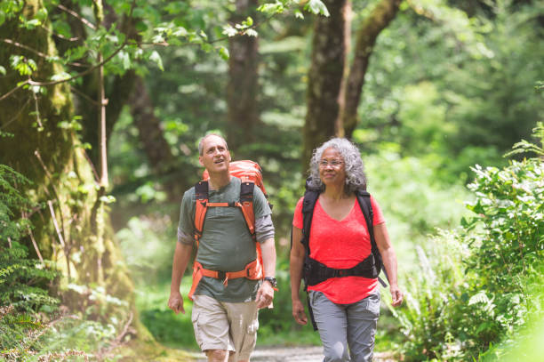 istock Senior Couple on a Day Hike in Forest 954792156