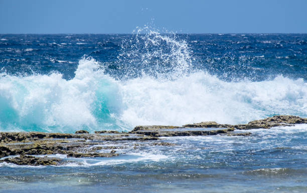 istock Crashing Waves By the Seashore 954792734