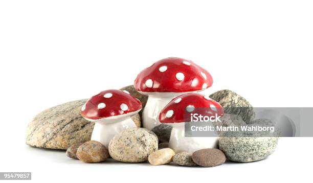 Fungo Ombrelliforme Con Pietre - Fotografie stock e altre immagini di Agarico chiomato - Fungo - Agarico chiomato - Fungo, Amanita Parcivolvata, Bianco