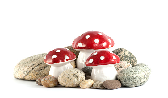 Fresh champignon mushrooms and Small clay pot pot with lid isolated on white background. Collage.