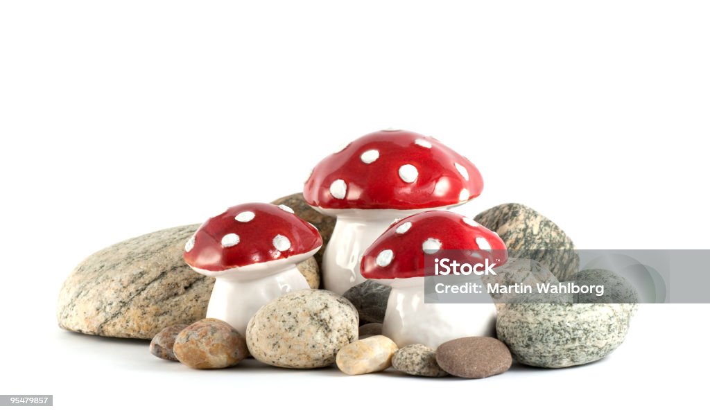 Cogumelo venenoso com pedras - Foto de stock de Agárico - Amanita royalty-free