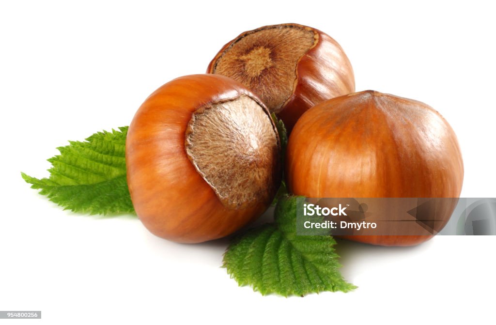 hazelnuts with leaves isolated on white background. macro Hazelnut Stock Photo