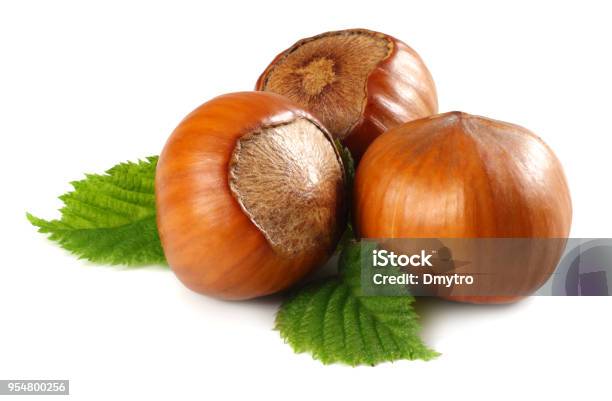 Hazelnuts With Leaves Isolated On White Background Macro Stock Photo - Download Image Now