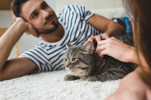istock young couple petting cat while lying on floor at home 954801056