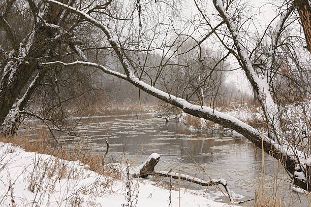 River in the Harsh  Winter . stock photo