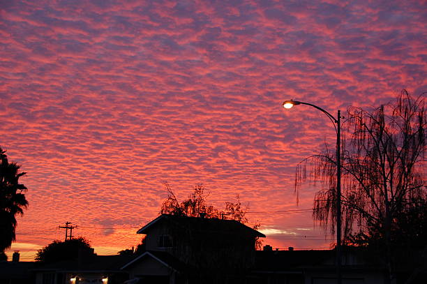 Suburban Sonnenuntergang – Foto