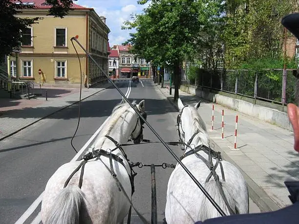 Photo of Horse carriage ride