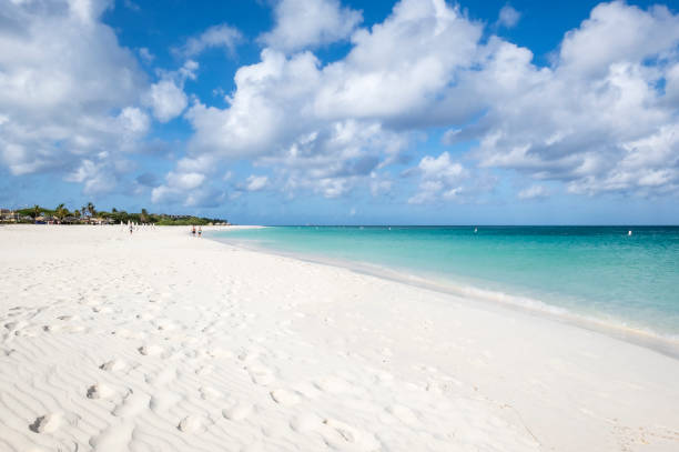 istock Eagle Beach Aruba, Southern Caribbean Island 954811930