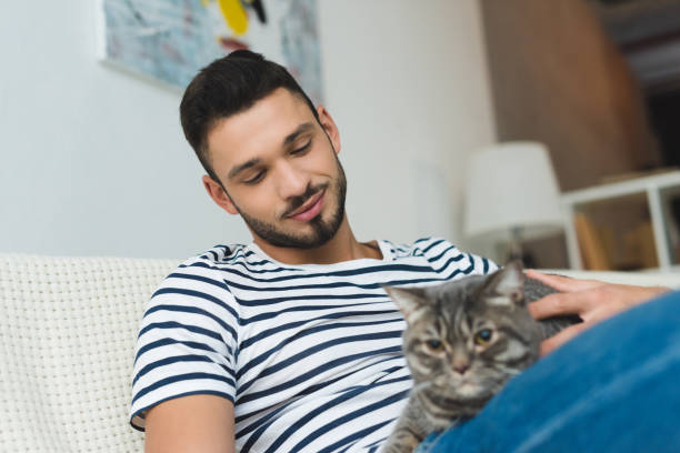 istock handsome young man petting cute tabby cat while sitting on couch 954812066