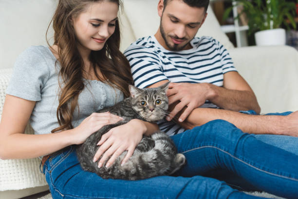 istock beautiful young couple petting cat at home while sitting on floor 954813616
