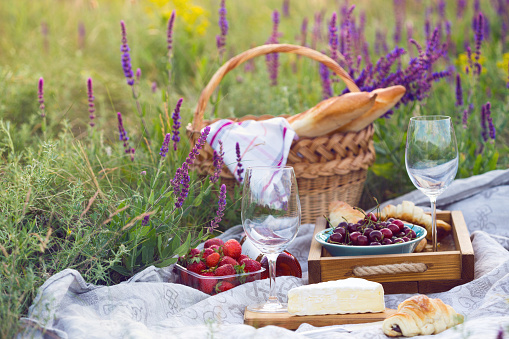 Summer - picnic in the meadow provence. Cheese brie, baguette, strawberry, cherry, wine, croissants and basket