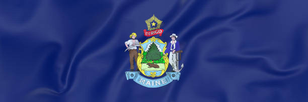 istock Flag of Maine 954816934