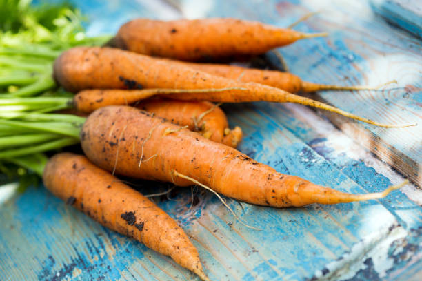 istock carrots on a vintage wooden background 954817134