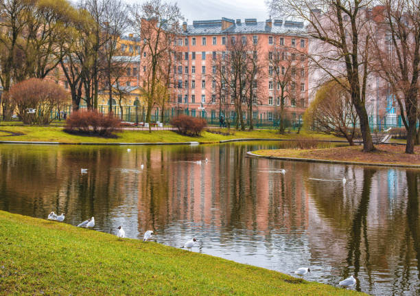 istock Saint-Petersburg. 954822420