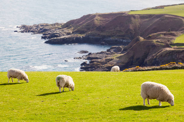 istock Spring panorama of Isle of Man. 954825022