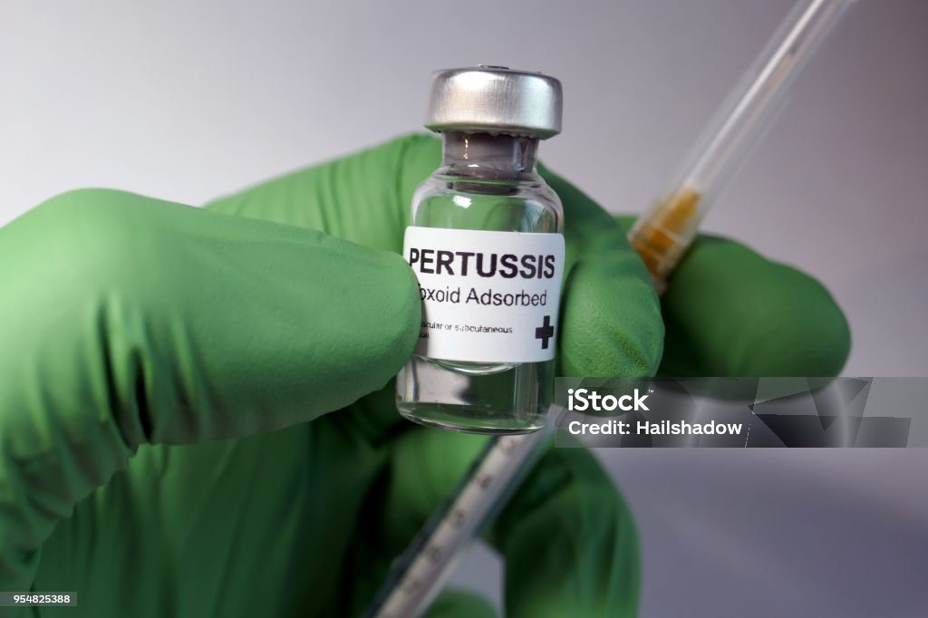 Pertussis Immunization Pertussis vaccine - administration of antigenic material (vaccine) to stimulate an individual's immune system to develop adaptive immunity to a pathogen. Whooping Cough Stock Photo