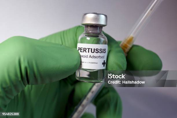 Pertussis Immunization Stock Photo - Download Image Now - Whooping Cough, Vaccination, Adult