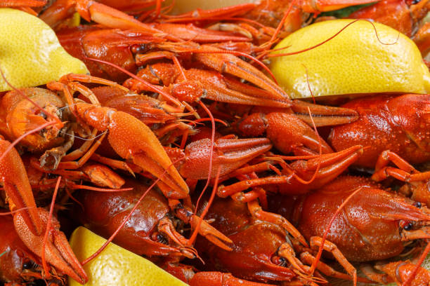 istock A lot of bright red boiled crawfish with lemon close-up 954830132