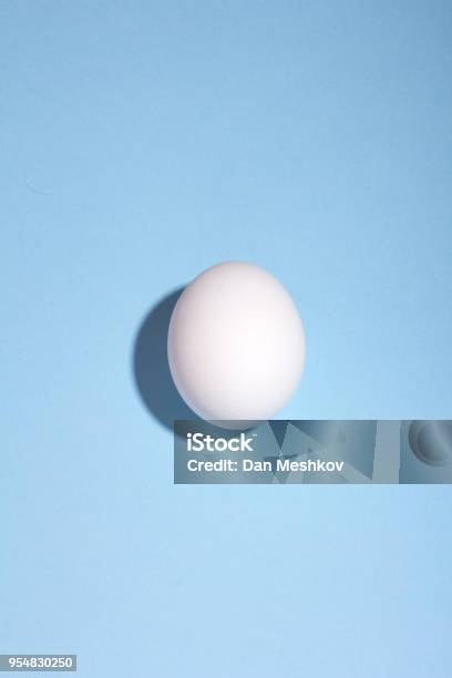 White Egg On Blue Background Stock Photo - Download Image Now - Egg - Food, Breakfast, Easter