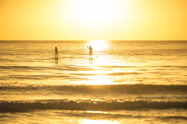 A couple heads into shore on their standup paddleboards as the ocean waves roll in and the sun sets on the horizon.
