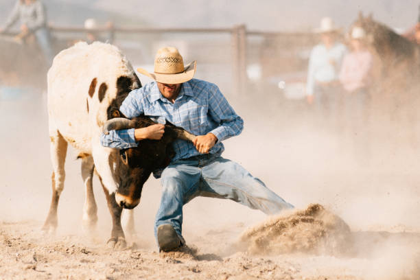Steer Wrestling Cowboys Steer Wrestling at Rodeo Arena chasing photos stock pictures, royalty-free photos & images