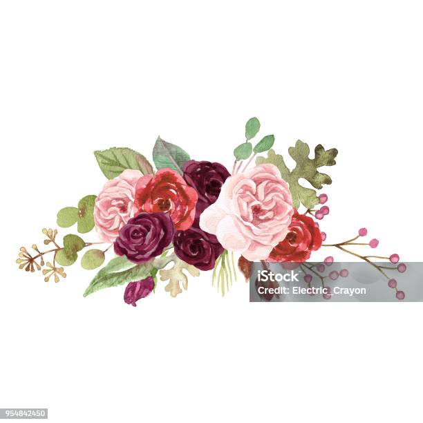 Vetores de Aquarela Rosas Marsala e mais imagens de Flor - Flor, Rosa - Flor, Vermelho
