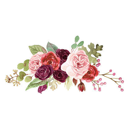 Watercolor Marsala Roses Stock Illustration - Download Image Now - Flower,  Wedding Invitation, Watercolor Painting - iStock