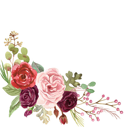 Watercolor Marsala Roses Stock Illustration - Download Image Now - Wedding,  Flower, Watercolor Painting - iStock